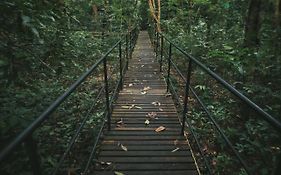 Khao Sok Tree House Resort